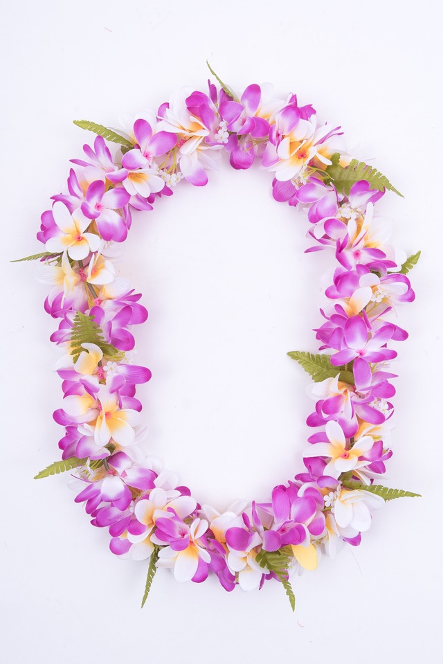 プルメリアレイ（パープル）