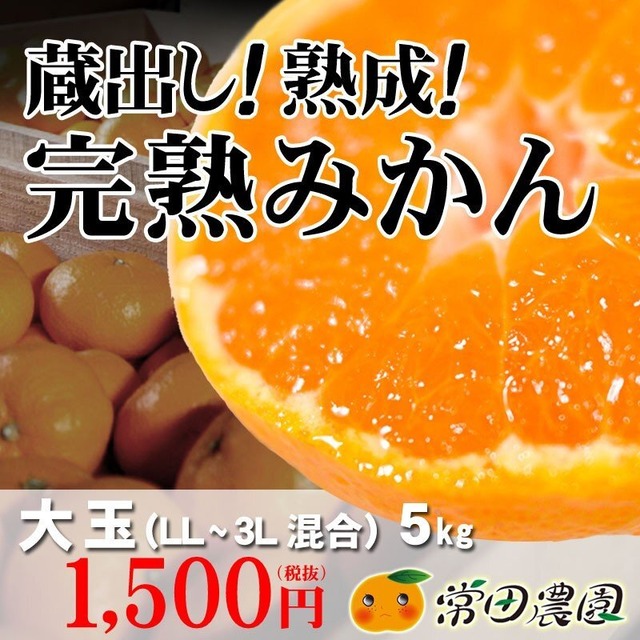 完熟蔵出みかん5Kg 大玉（2L・3L混合）