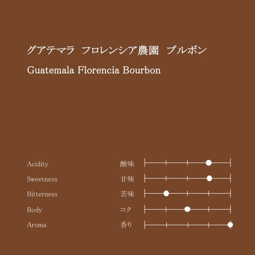 グアテマラ フロレンシア農園 ブルボン ウォッシュド　200g