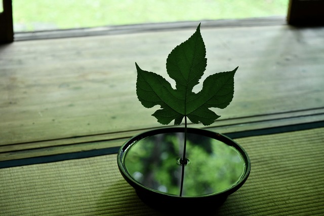 季節のしつらいと花【一回稽古】/動画稽古（初めての方のための稽古です）