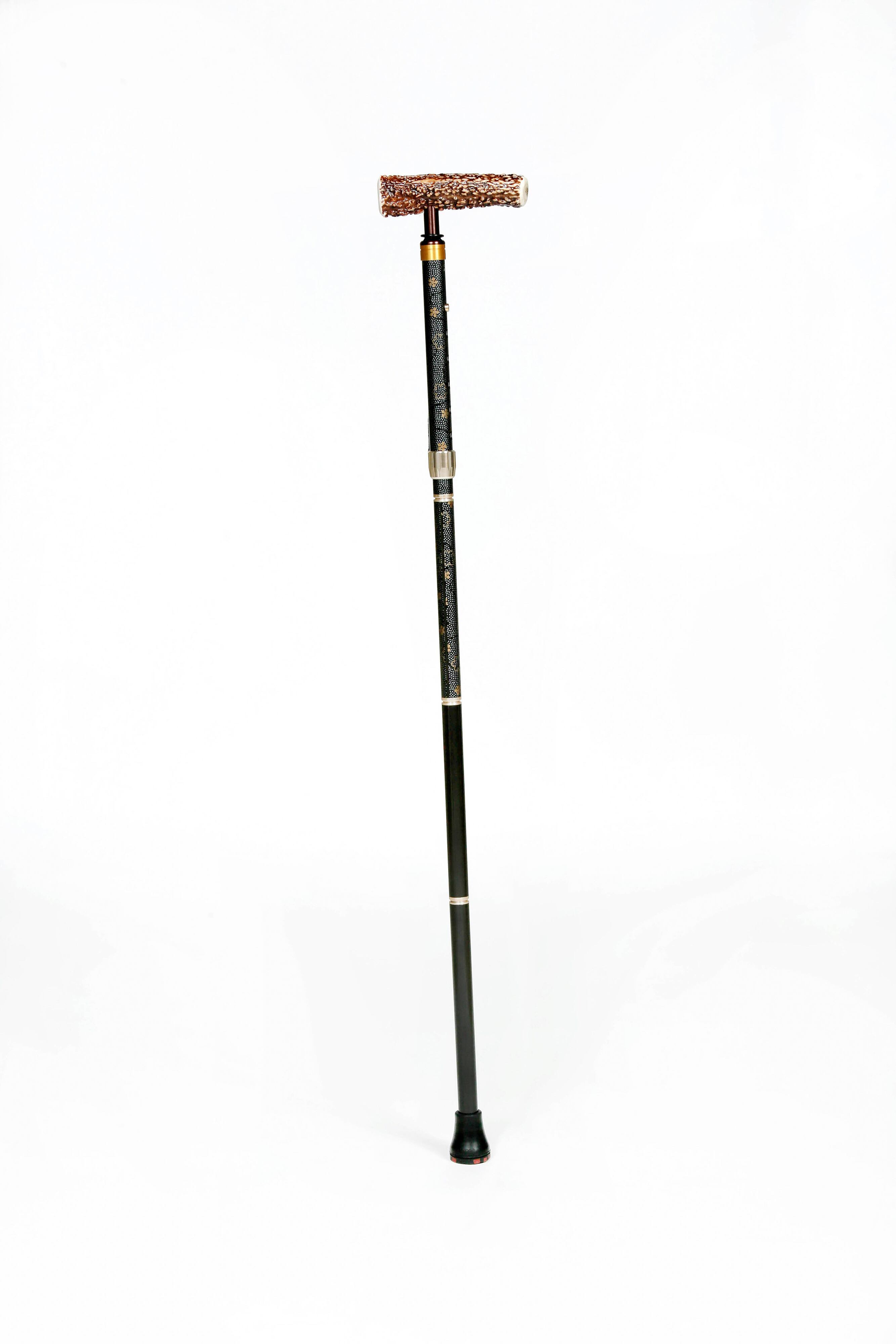 鹿角一本杖 春日