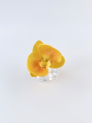 Mini 011