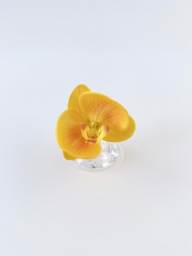 Mini 011