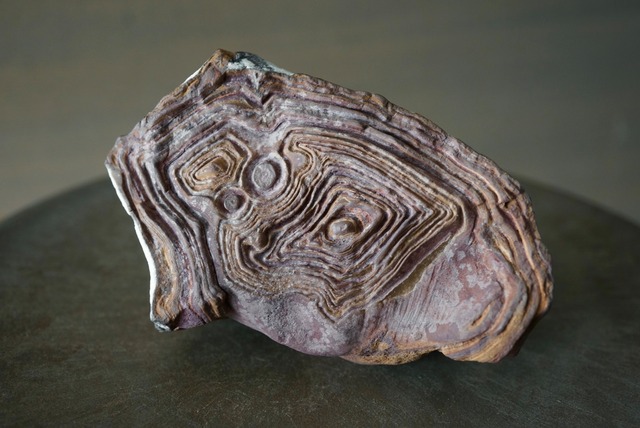 クムル産火山砕屑岩 Volcano-sedimentary Rock 1125