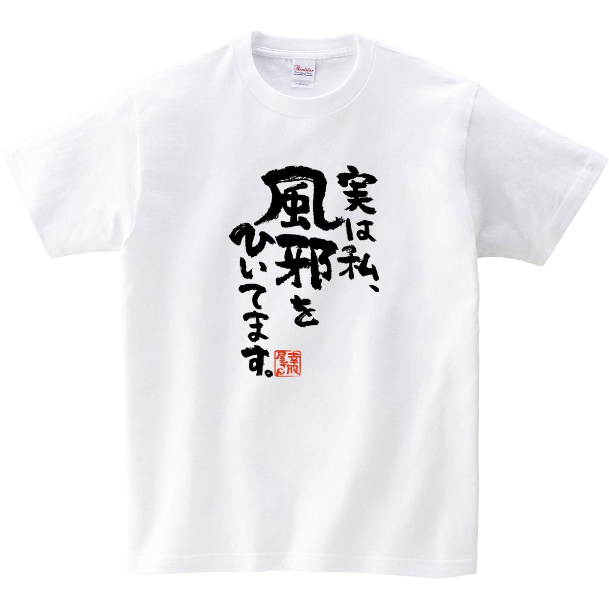 実は私、風邪をひいてます。 漢字Tシャツ ka400-92 ウィルス 勘違い 批判 対策 アピール