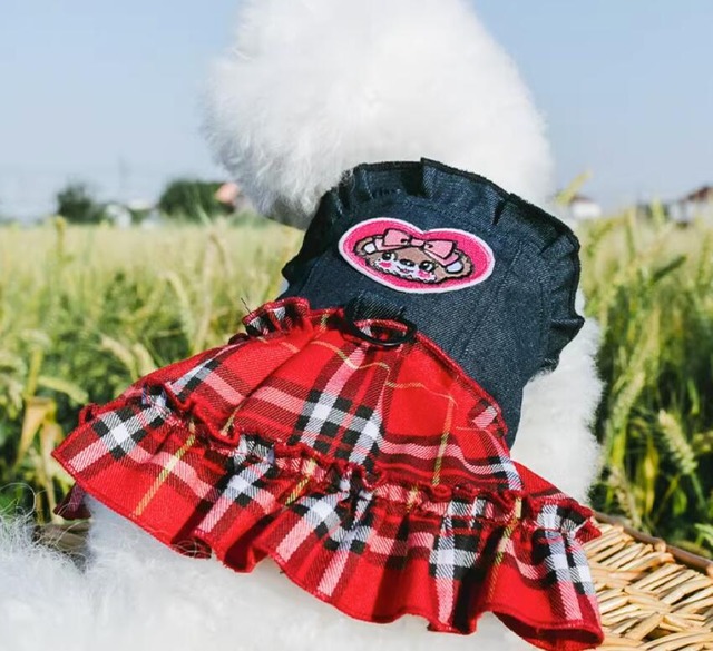 《予約》2101108 重ね着チェックスカートキャミソール