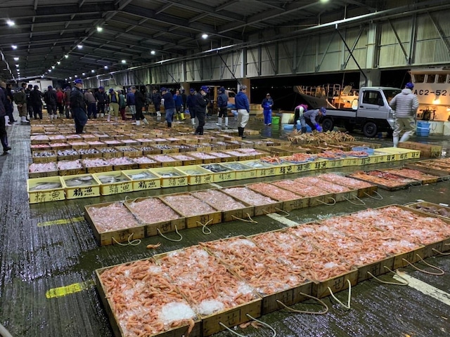 新物！初摘み！伊勢湾産の最高級生海苔（500gパック）※1㎏から購入可能です！