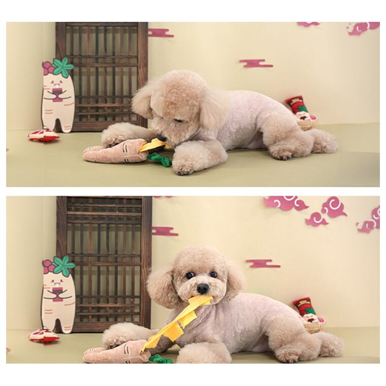 korai ninjin toy set / ペット 犬 おもちゃ ノーズワーク おやつ隠し 噛む カシャカシャ 知育玩具 鳴き笛入り 音が鳴る 可愛い わんちゃん おもちゃ ストレス解消 韓国 ペット用品 小型犬 中型犬
