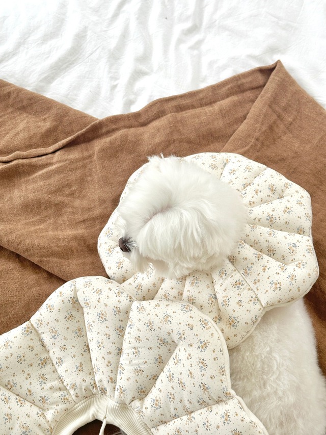 〈即納アイテム〉EYOU  ネックカラー / ピアナネックカラー  イエローフラワーS.Mサイズ