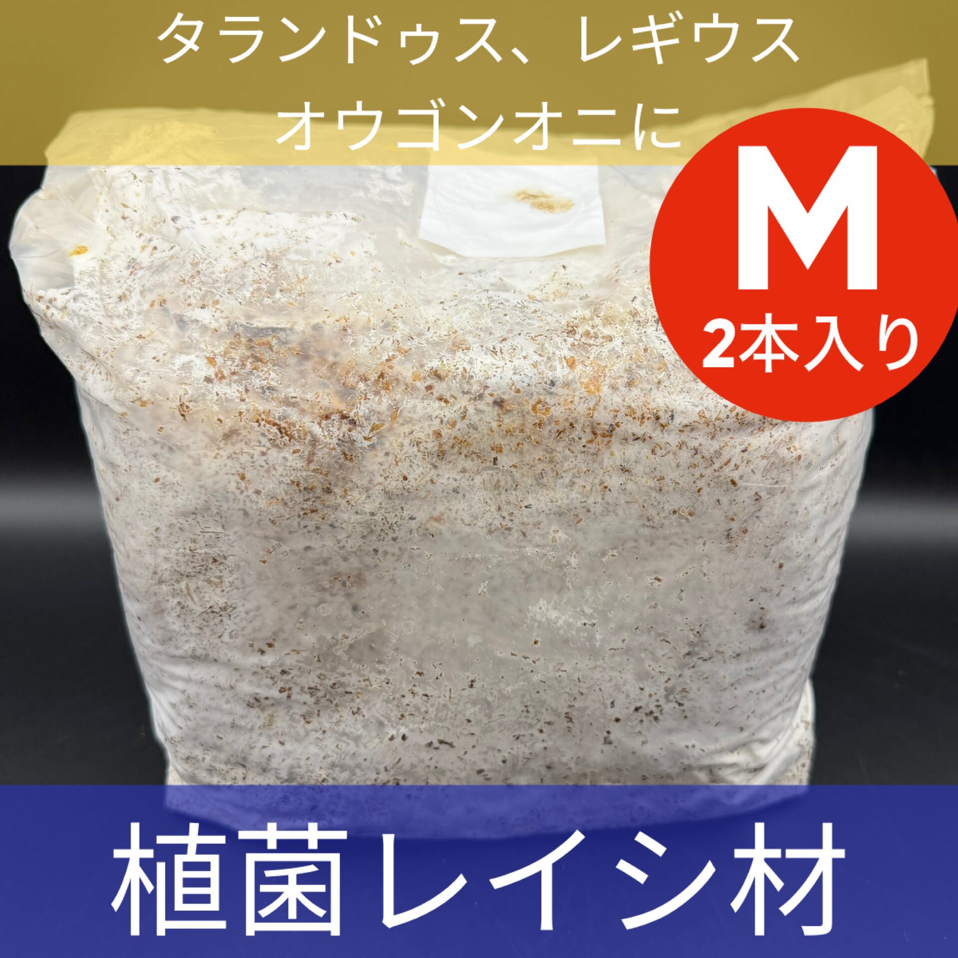 S8カンタケ 1400cc | KPW BASE店