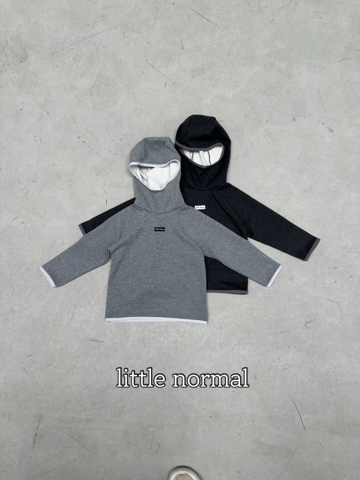 ※11/23まで5%OFF予約【little normal】High neck hoodie/S-JS