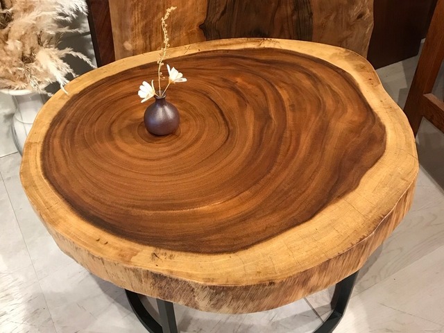 ≪横浜元町店≫ モンキーポッド　輪切り　660×590×60　242152