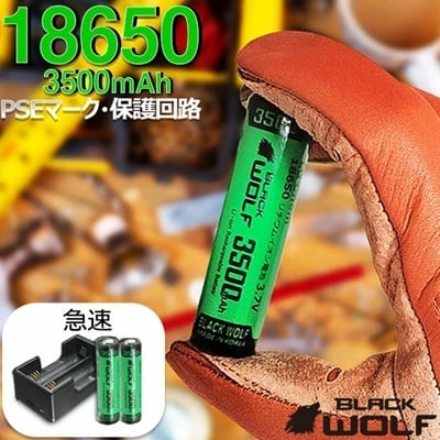 充電器セット | BLACK WOLF