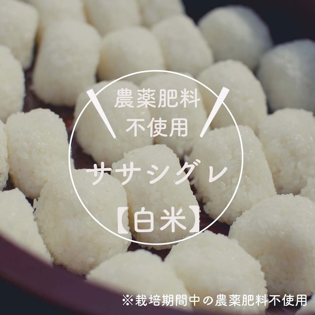 ◆新米予約◆【自然栽培米】白米　ササシグレ　５ｋｇ