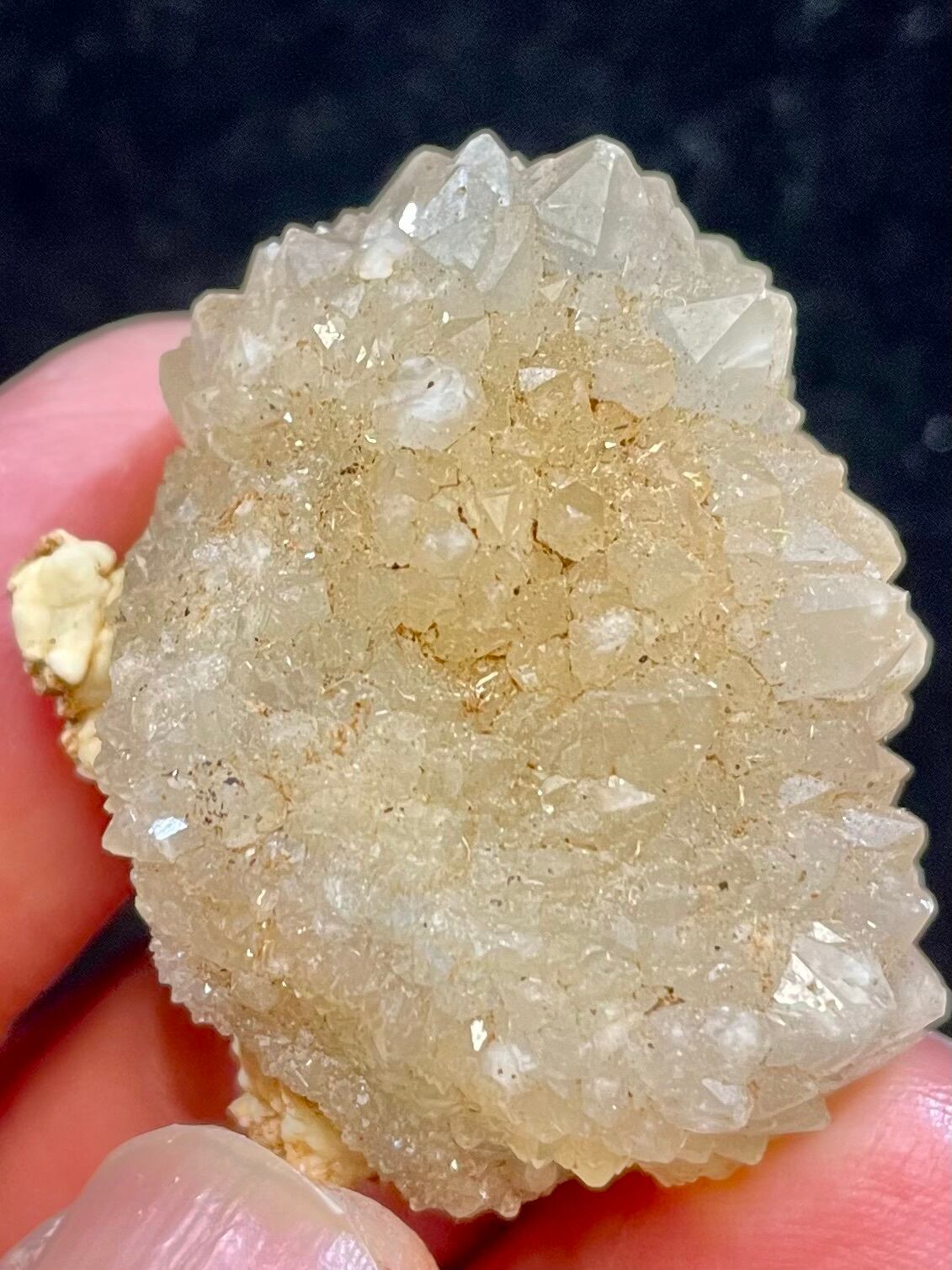 7) 超ボルテックス・パワー!「セドナ・レムリアン・カクタス」クオーツ(小型)