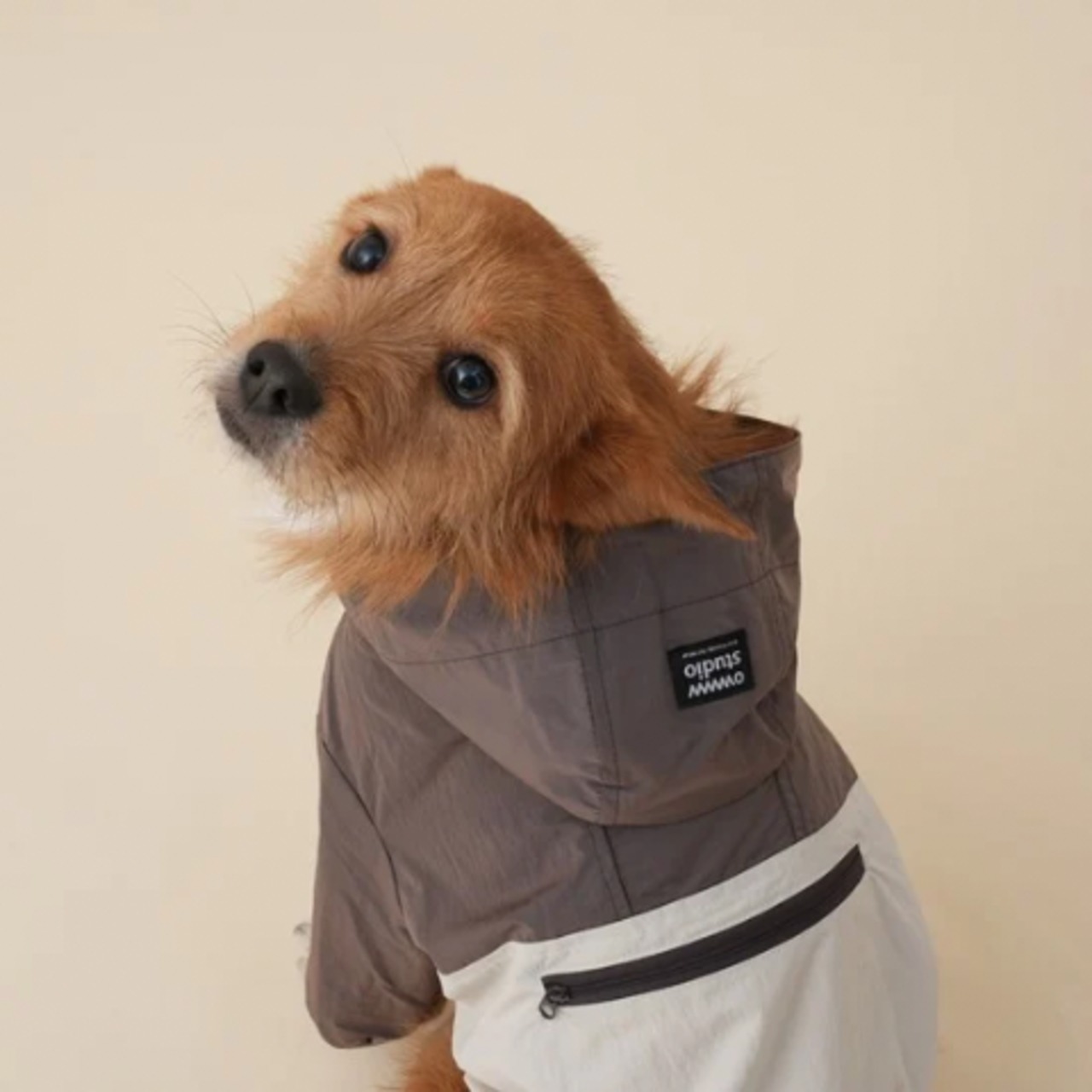 【即納 / 一部予約】Eco-friendly Packable Anorak｜Dark Brown - 8