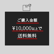 チランジア ガルドネリィ【194】