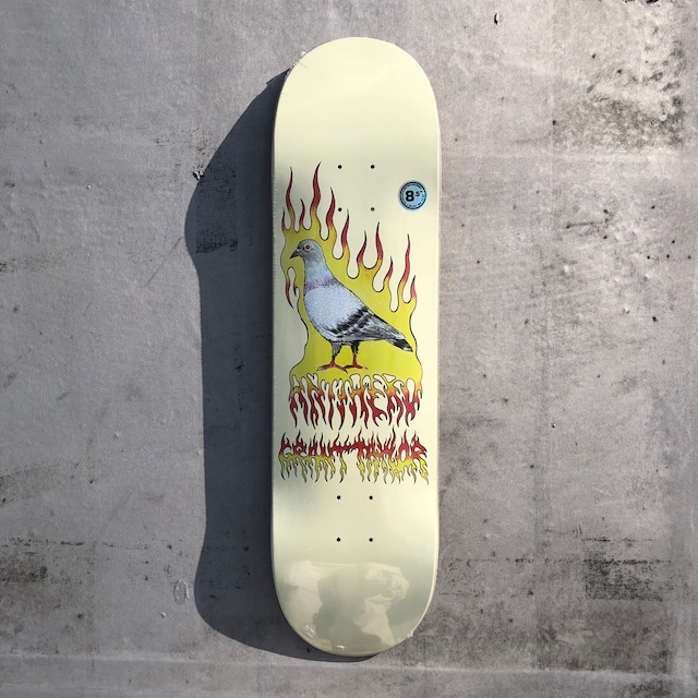 Anti Hero / Taylor Pigeon Vision /  8.5x31.75inch (21.59x80.645cm)