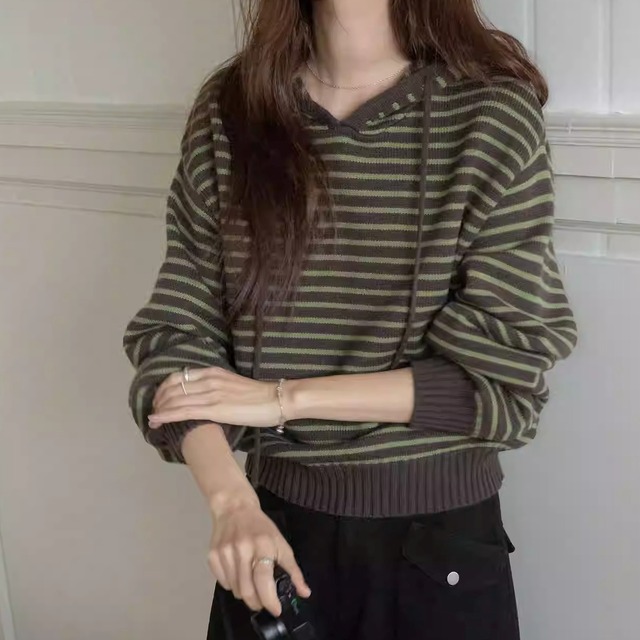 フード付き ボーダー柄 長袖 プルオーバー ニット 2color ATO0176