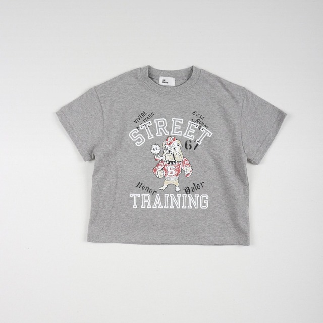 《送料無料》予約:ストリート半袖T【HIKIKI】