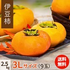 【2025年産】【10月下旬発送】伊豆柿 3L 9玉（2.5ｋｇ）