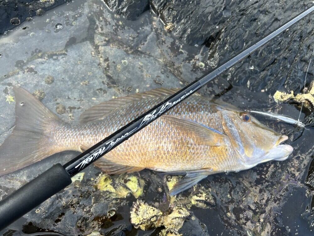 TRUTH JAPAN BlackDimension 103 Medium Heavy (ROCK SHORE BLUE