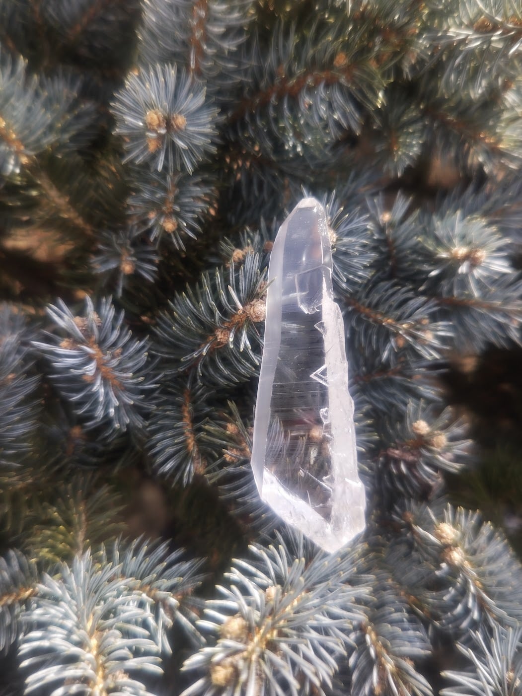 コロンビア水晶｜世界最高峰の透明度を誇るクリスタル | 日賀 Nichika