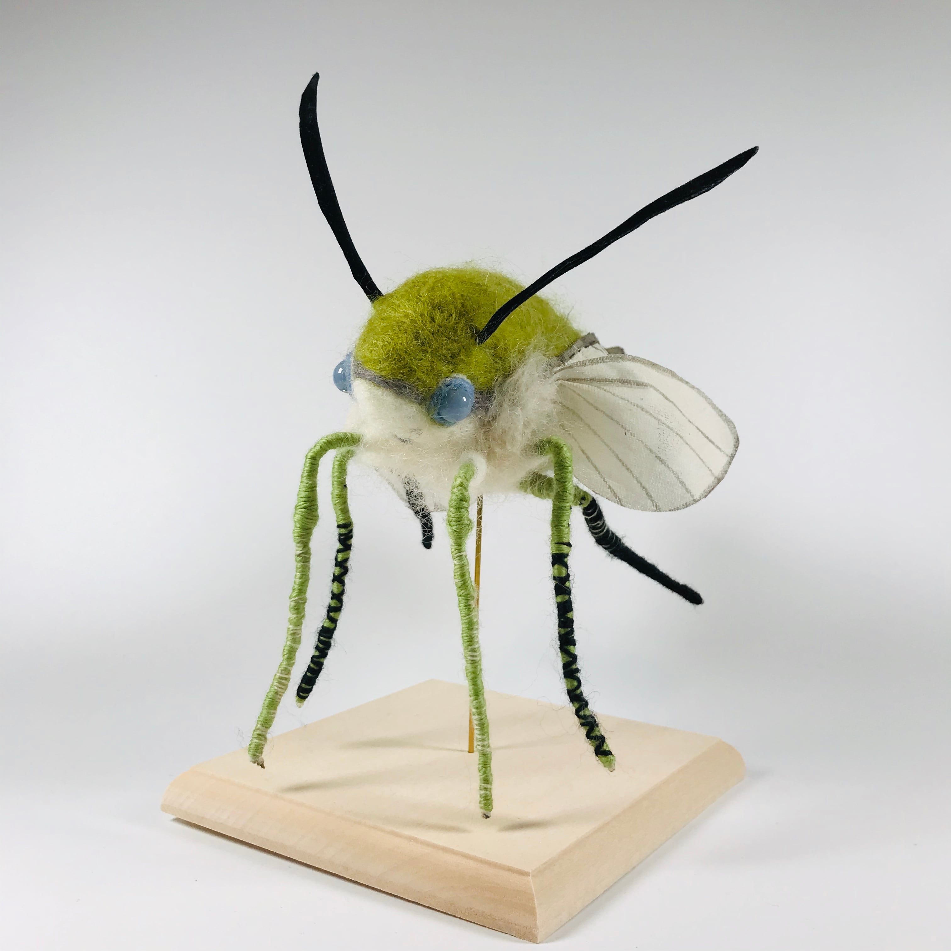 kemonoya 】オオスカシバ | HOW HOUSE