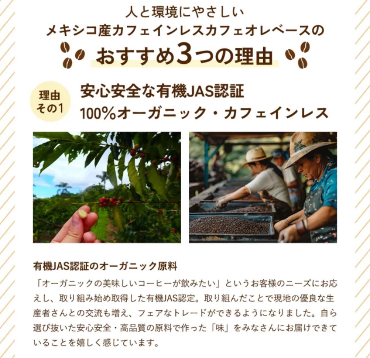 ★メキシコ産　オーガニックカフェインレス カフェオレベース 600ml【有機JAS】