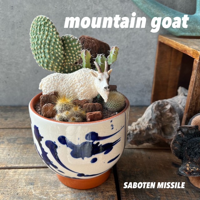 Mountain Goat Bowl シロイワヤギ