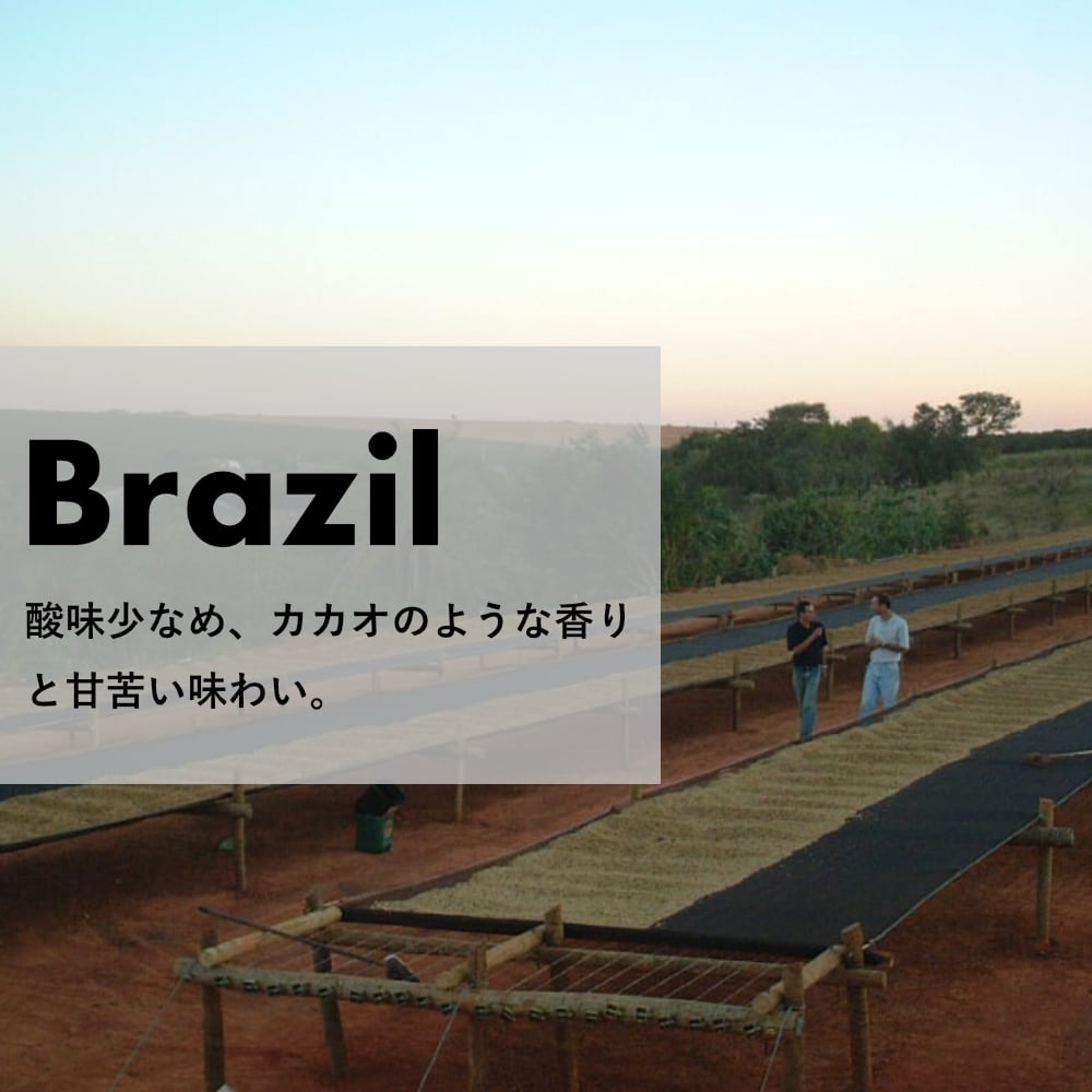 ブラジル「マカウバ・デ・シーマ農園」ナチュラル 中深煎り 200g