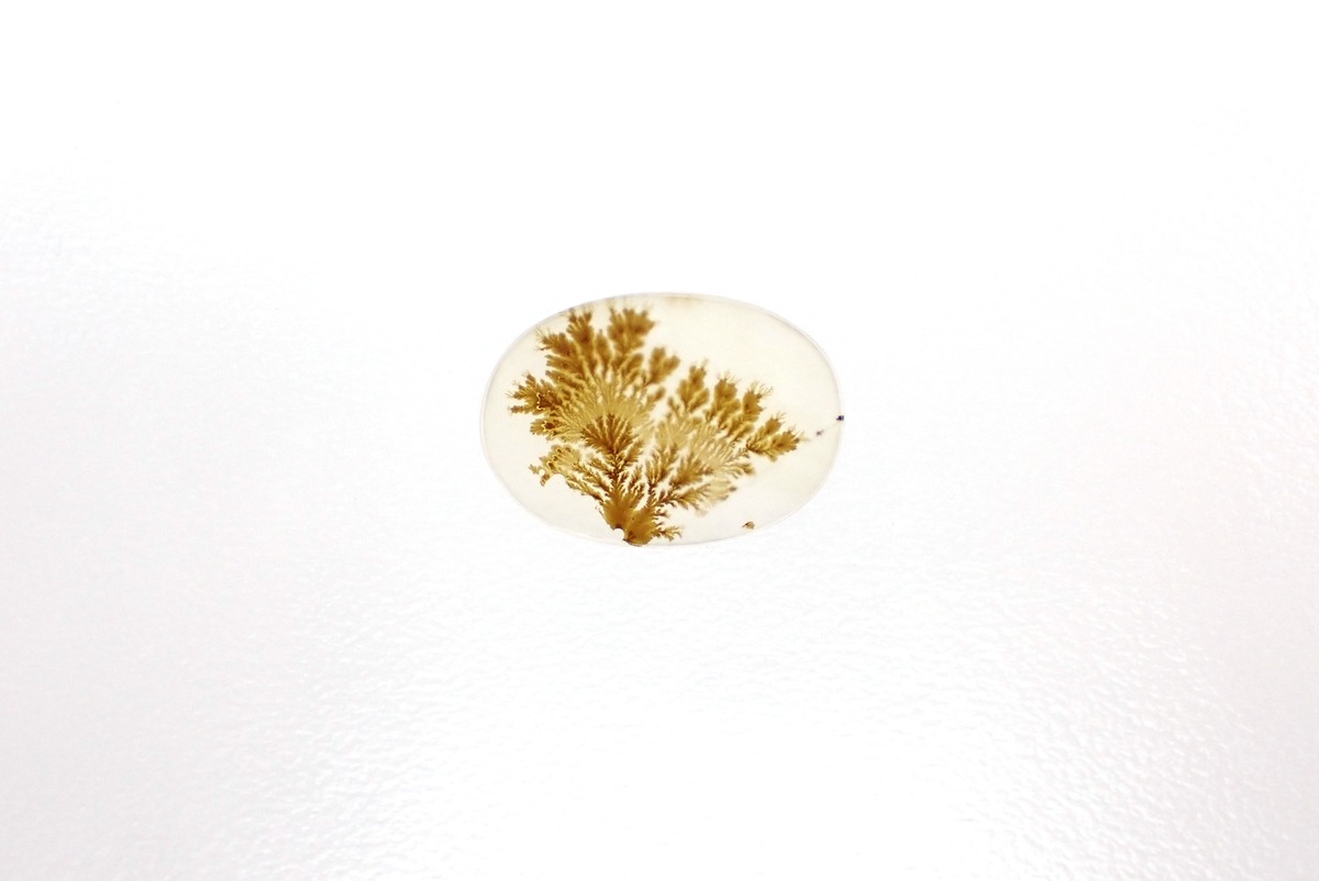 429 dendritic agate | MATERIALS+