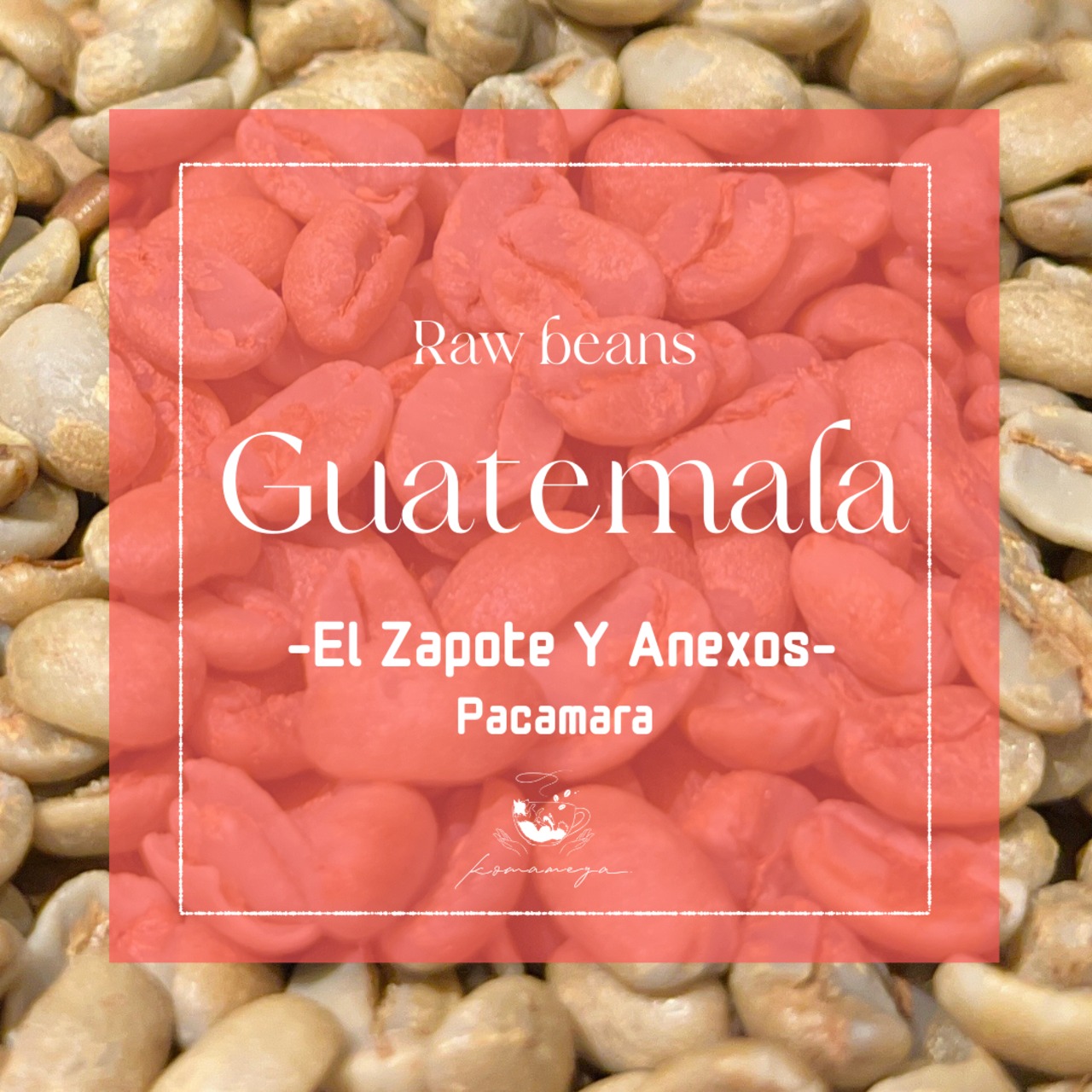 【生豆】グアテマラ│ El Zapote Pacamara Natural-100g