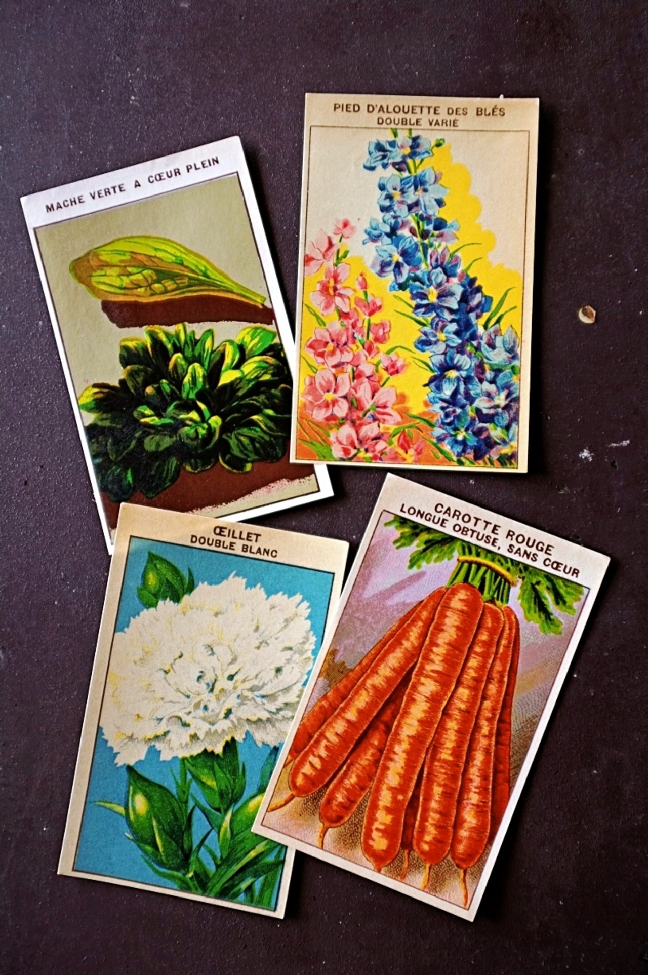 20s フランス 4set 膨満な花々と野菜たち 種子袋用ラベルw アンティーク