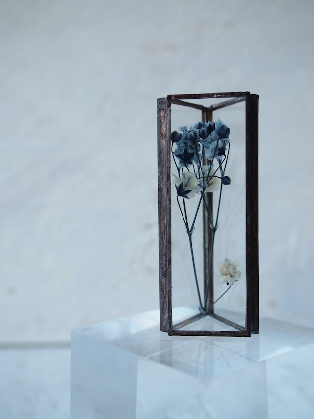 hacomidori　三角植物標本（小）　かすみ草（navy） 【hcm-sh-ks-s-navy】