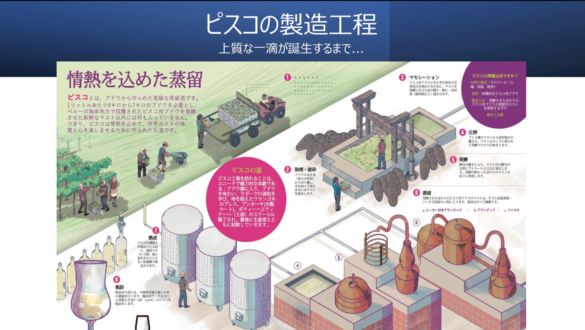 入荷しました)ピスコポルトンの蒸留所が社名を付した至高のピスコ