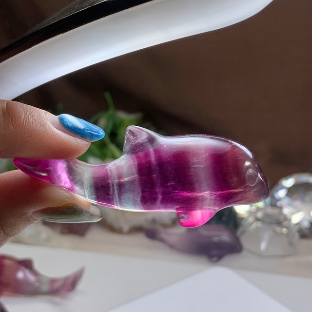 7.癒☆可愛いフローライトイルカさん