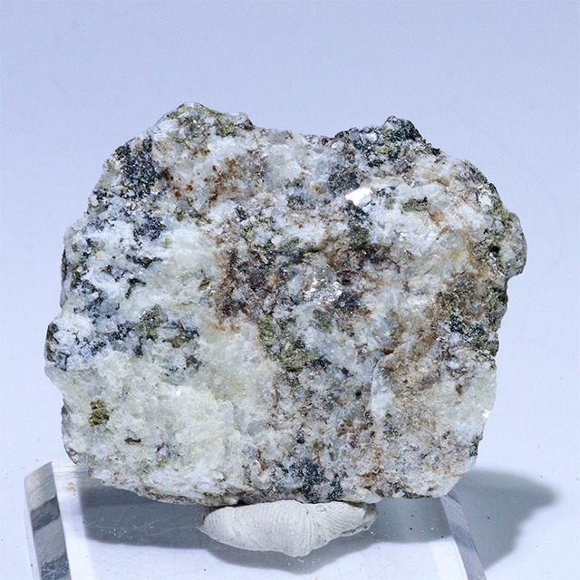 〔D456-6〕国産希少 杉石 スギライト 愛媛県岩城島産 Sugilite 原石 鉱物