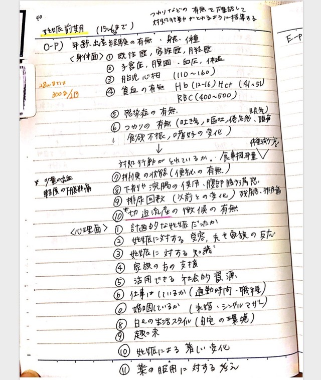 看護学生 看護実習 アセスメント 手順書 関連図 周手術期 急性期 