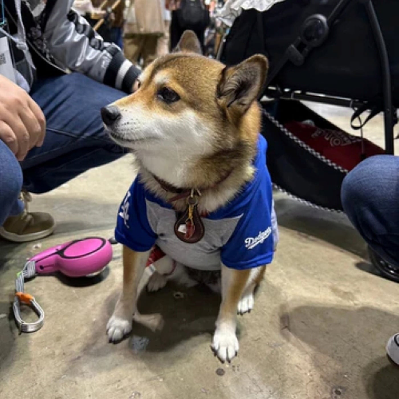 犬用Tシャツ Sサイズ 大谷翔平モデル MLB公式 ドジャース 超小型犬用