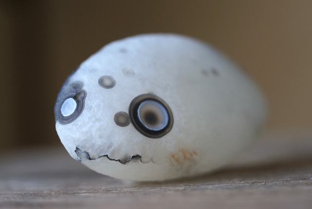 ゴビアゲート Gobi Desert Eye Agate 523