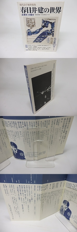 現代詩手帖特集版　春日井建の世界　「未青年」の領分　/　斎藤慎爾　水原紫苑　責任編集　[16073]