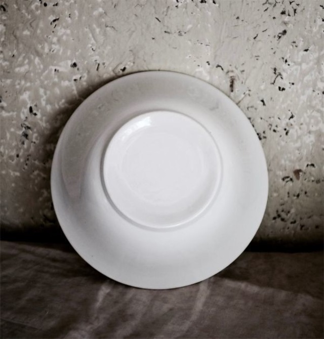 19世紀 Digoin Sarreguemines 白の集約とサラディエ