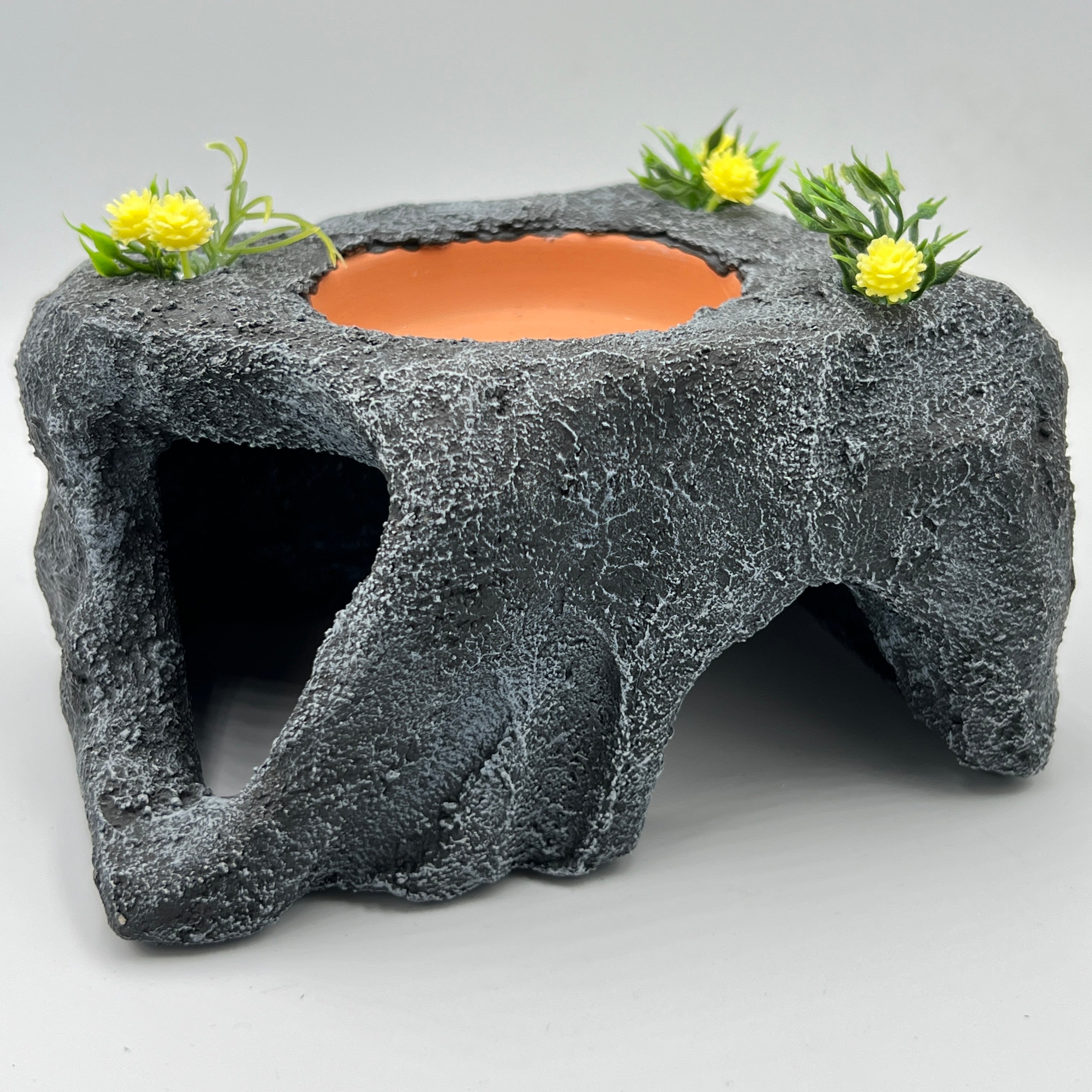 しぇる亭 爬虫類 ハンドメイド レオパ ニシアフ レイアウト 自然系