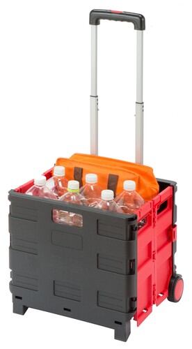 C&C.P.H.EQUIPEMENT ロングポールCASE LIMITED サンゾク