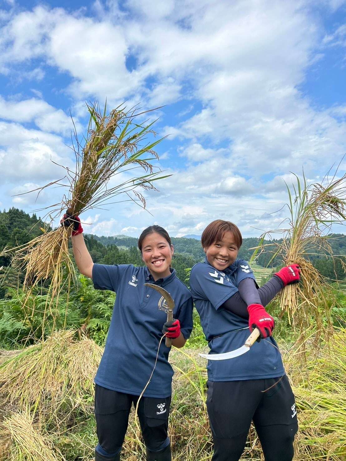 5%OFF定期便＞2026年度産「大地の米」10㎏×6回/Regular delivery