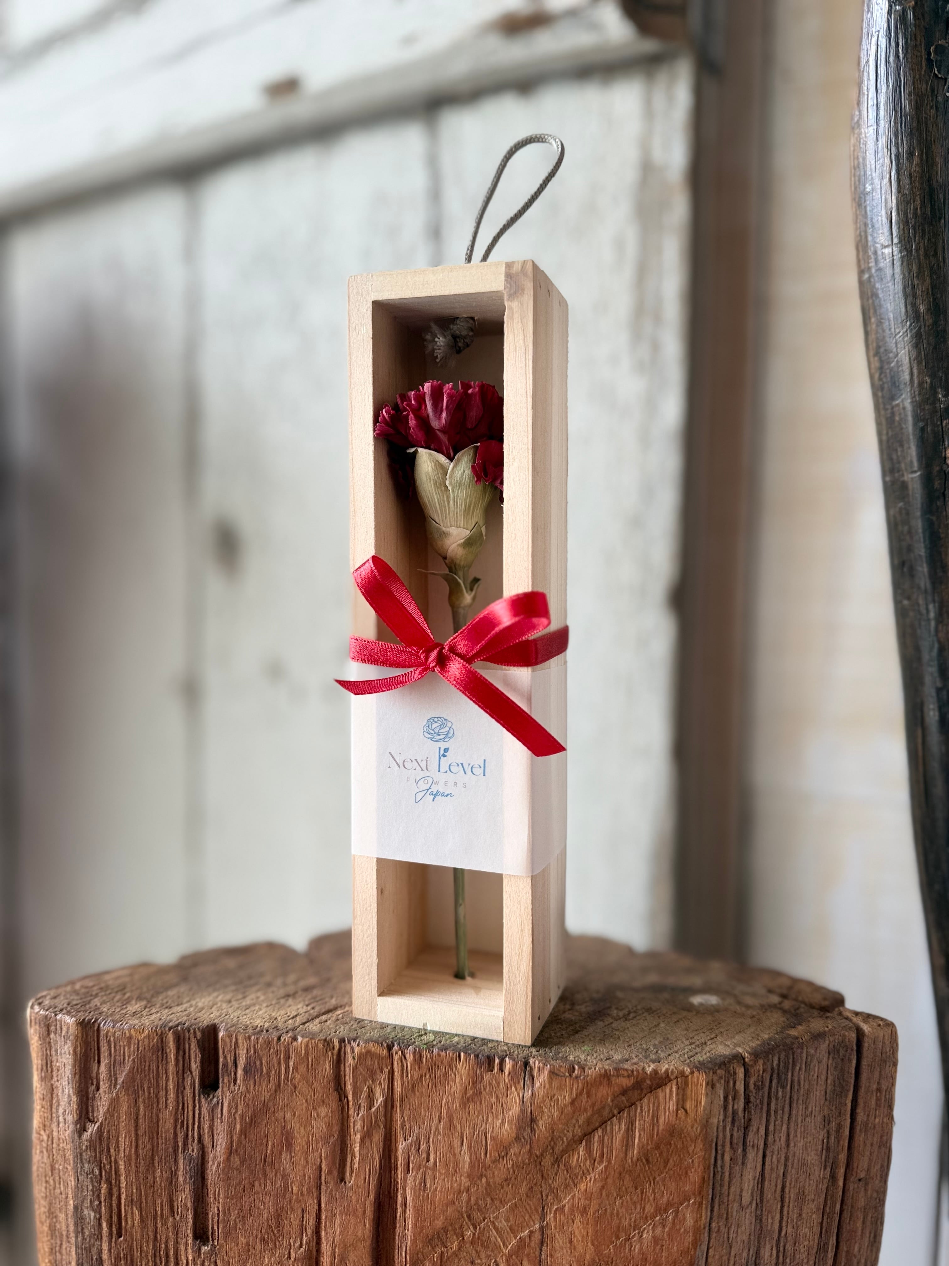 母の日限定 カーネーションゼロフラワー「花いちりん」S | 花と植物の