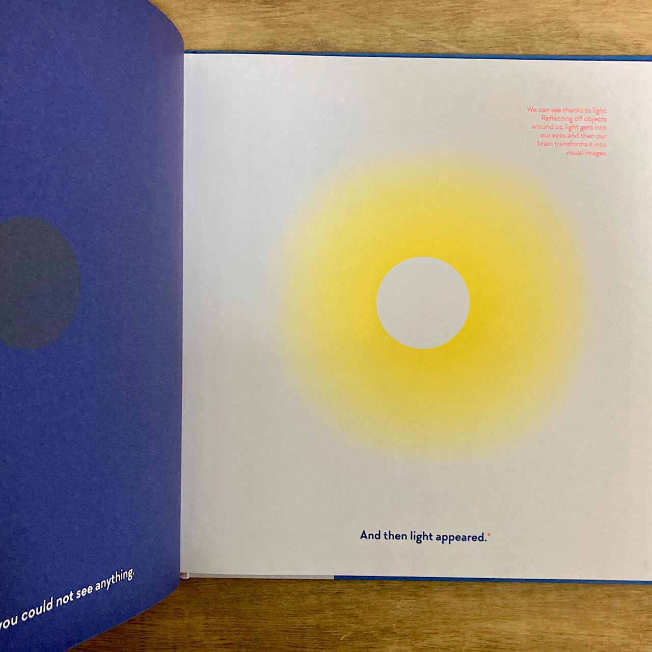 Sight Glimmer, Glow, Spark, Flash! 素敵な洋書の絵本のお店 Read Leaf Books