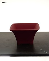 mame bon pot シホウ 8.4cm 【日本初上陸?!】