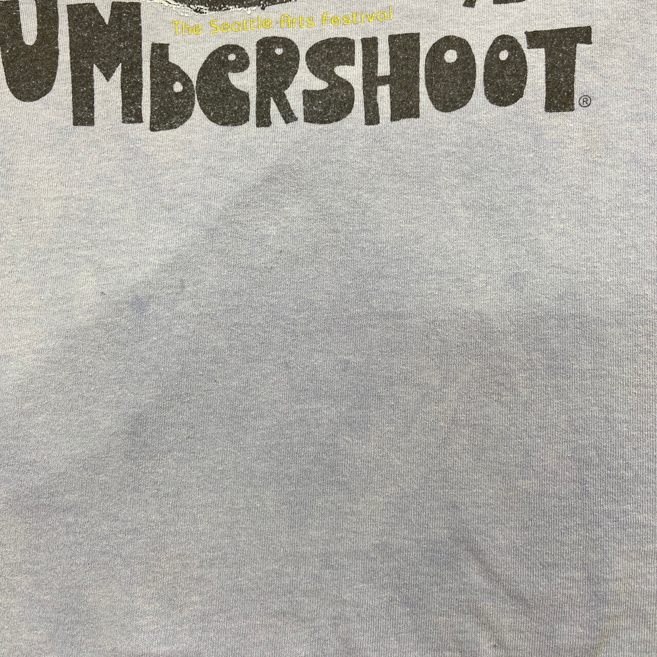 90年代 USA製 BUMBERSHOOT95 バンバーシュート 音楽フェス Tシャツ 